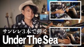 【♪Under The Sea】サンレレ3本で弾くリトル・マーメイド〜解説はチョーキング奏法やパーカッション